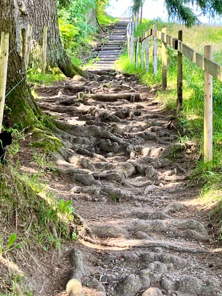 Balance und innere Stabilität – Go Beyond Retreat