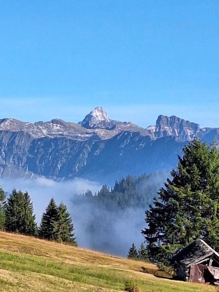 Weite und Natur – Retreat für Führungskräfte