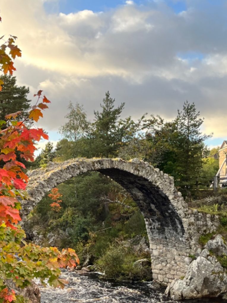 Licht und Verbindung in der Natur – Go Beyond Retreat